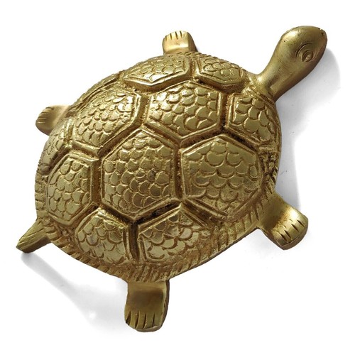 Brass tortoise turtle - brass, for