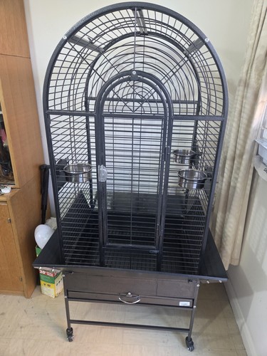 Bird cage - bird,