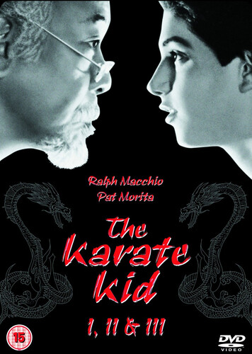 The karate kid - karate,