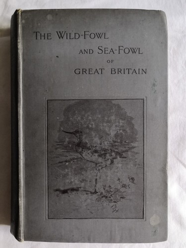 Wild fowl sea - &, great