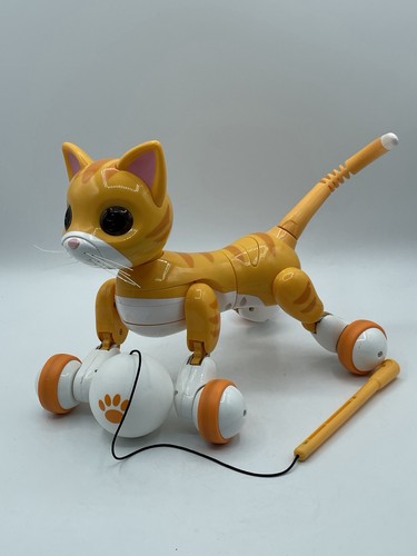 Orange zoomer kitty - orange,
