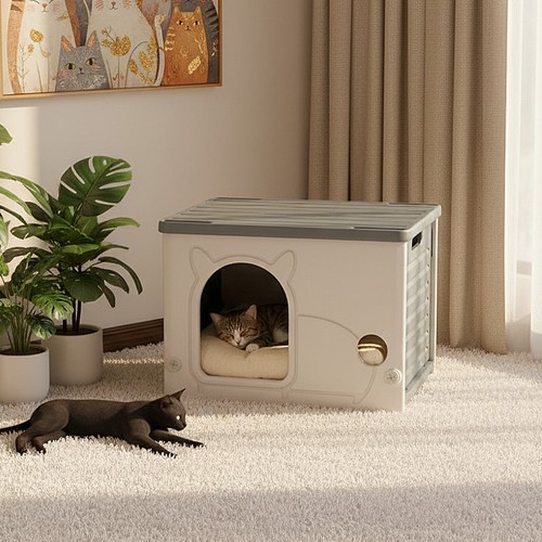 Pet cat kitten dog - pet, bed
