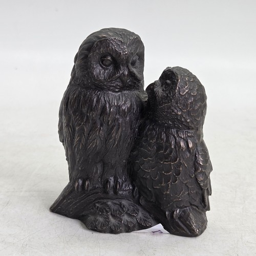 Heredities bronze resin - resin, owl