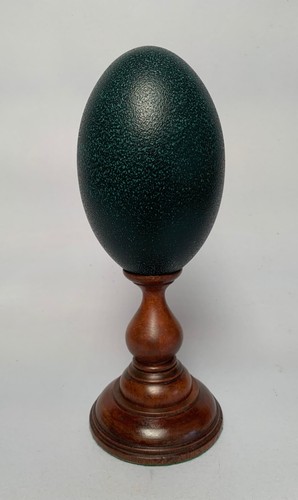 Unusual and beautifully