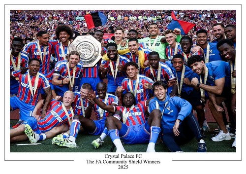 Crystal palace community - fc,
