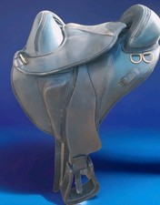 Torsion Saddle