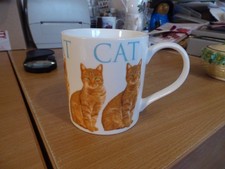 leonardo collectors cat mug