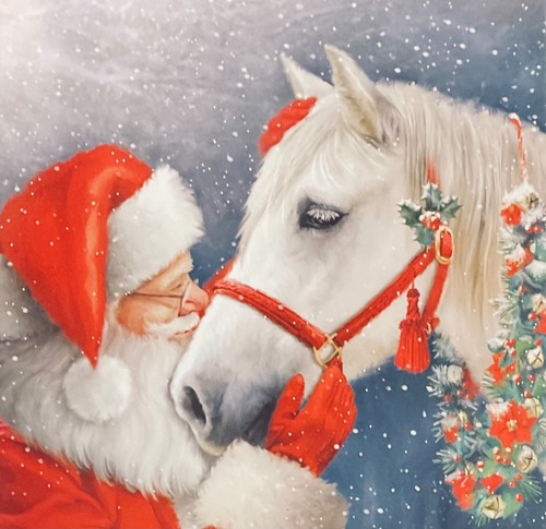 Charity christmas card horse - charity,