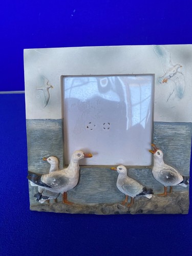 Seagull photo frame coastal - photo,