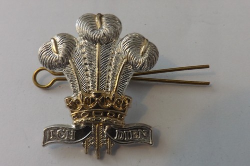 Military badge royal - military, regiment