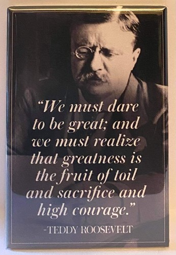 Teddy roosevelt quote - roosevelt,