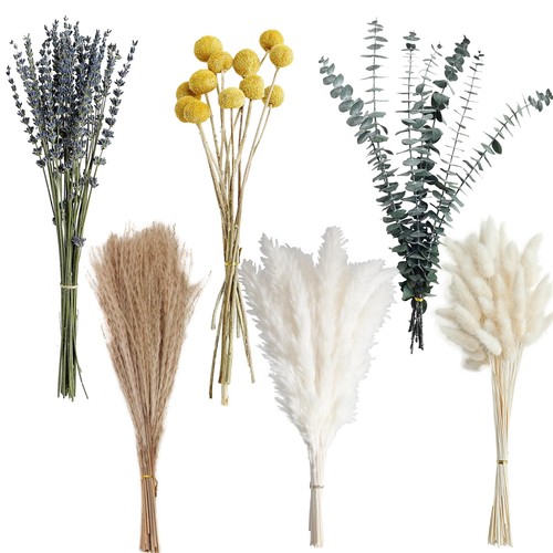 Dried pampas grass bouquet - pampas,