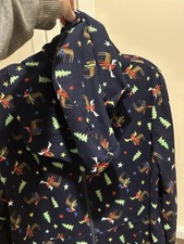 Next Boys Xmas pyjamas - one