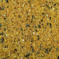 Bucktons Cockatiel & Lovebird