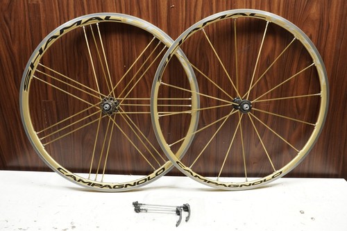 Campagnolo shamal ultra gold - ultra,