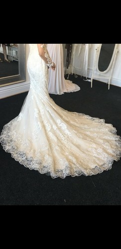 Justin alexander wedding - justin,