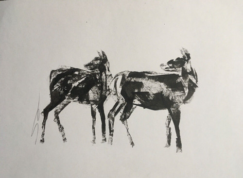 Double take original signed - double,