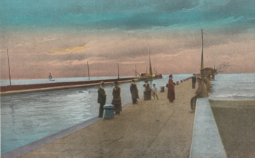 Postcard viareggio - postcard,
