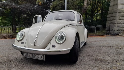 1966 classic beetle white - 1966,