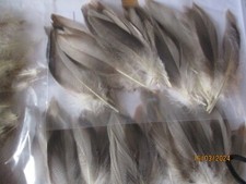 Bronze mallard feathers bulk bags of 50s  large and medium mixed fly tying