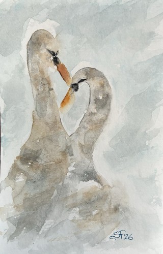 Original mute swans - swans, watercolor