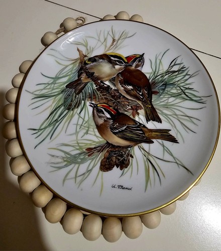 Wwf collector plate - wwf,
