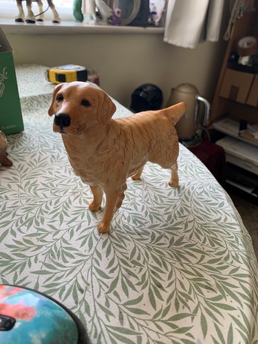 Large beswick golden - large,