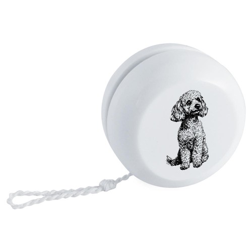 Miniature poodle sitting - poodle, sitting'