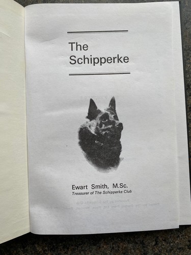 Dogs rare schipperke - dogs, lucas