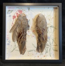 a pair of framed pheasant