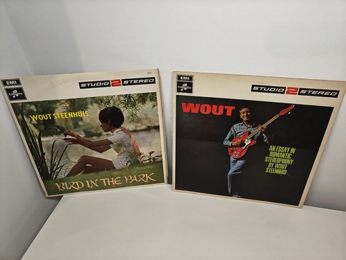 Wout steenhuis vinyl - 2x, lp