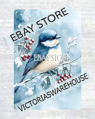 Winter bluebird tin - winter, sign
