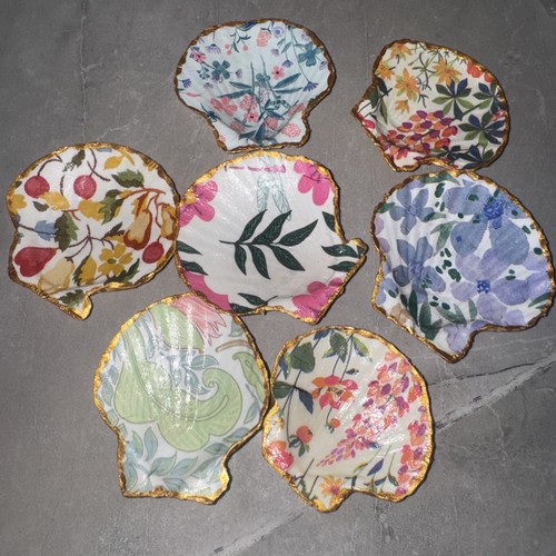 Scallop shells decorated sea - scallop,
