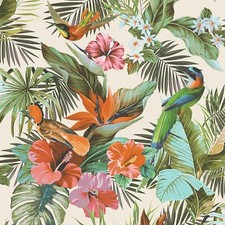 Paradise Birds Rasch Wallpaper