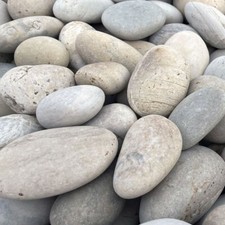 Duck Egg Decorative Garden