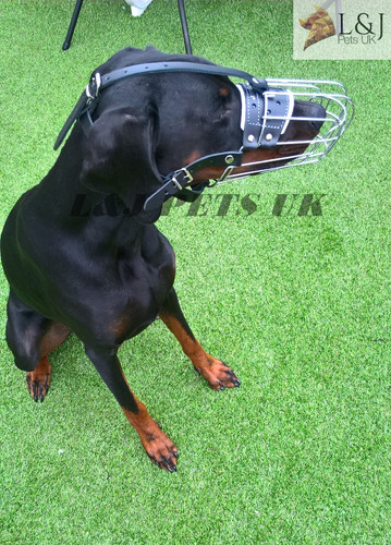 New strong metal wire - wire, basket