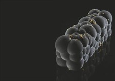 Pavoni Modern Cake Silicone  Mould for Baking Freezing and Dishwasher Safe