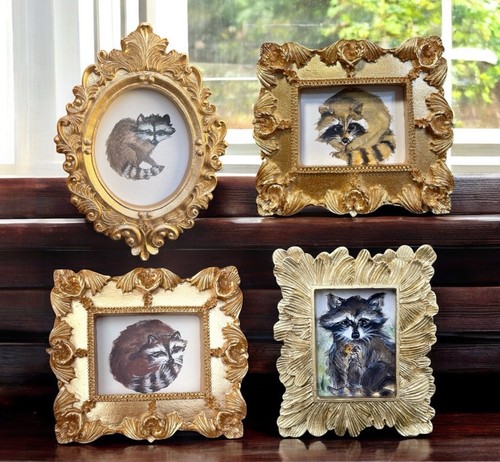 Set raccoon watercolor - raccoon,