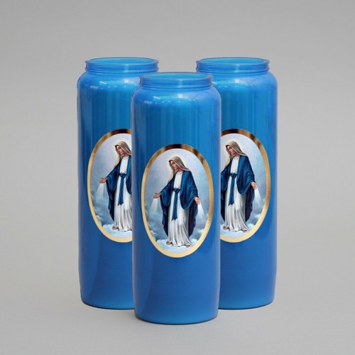 Our lady immaculate 9 - x,