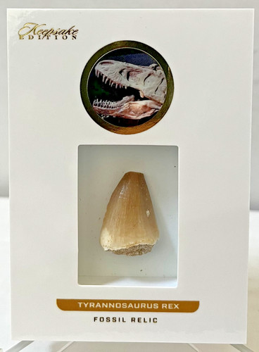 2023 super break - 2023, keepsake