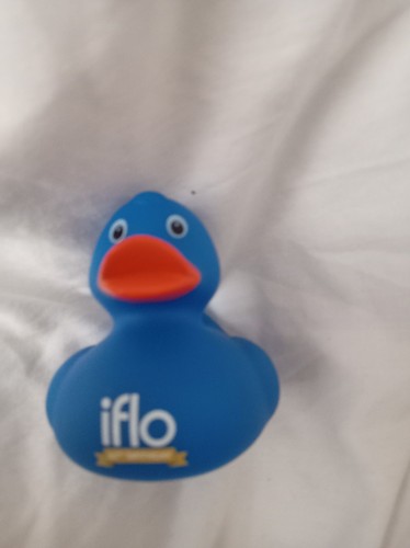 Blue rubber duck - rubber, toy