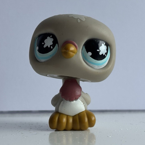Pigeon 812 littlest pet - #812, shop