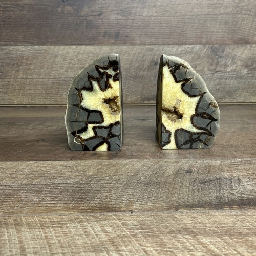 Septarian dragon stone - septarian,