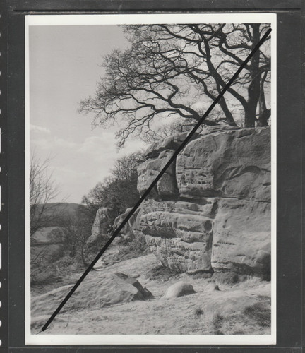Landscape photograph x - photograph,