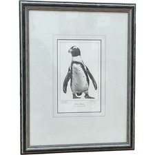 Gary Hodges Signed Penguin
