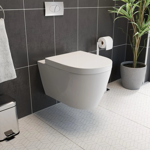 Wall hung rimless - hung,