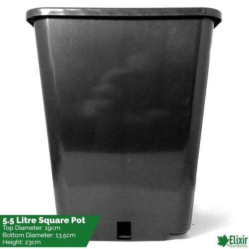 Square plant pot - square,