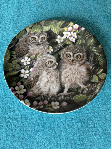 Wedgwood the baby owls - wedgwood,