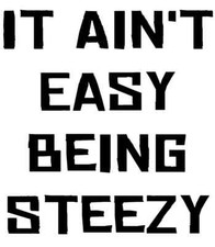 Steezy Mountain Bike Decal