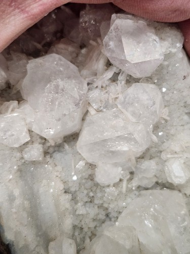 Stunning cabinet apophyllite - stunning,